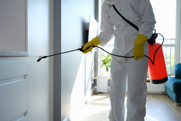 Best Water Damage Restoration  in Aberdeen, OH