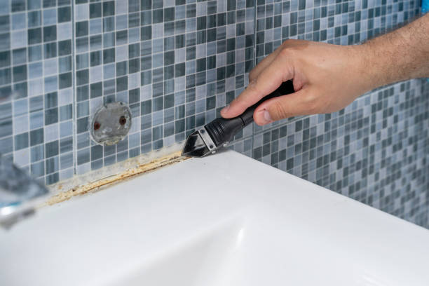 Best Certified Mold Removal  in Aberdeen, OH